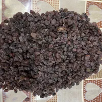 کشمش درجه ۱ بار امساله عمده و خرده|خوردنی و آشامیدنی|هشتگرد, شهرک وحدت|دیوار