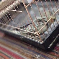 عروس هلندی ماده مست|پرنده|اسلامآباد غرب, |دیوار