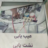 وردست و شاگرد باطریساز