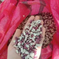 لپه لوبیا