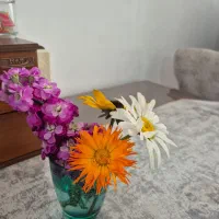 اجاره خانه در میدان وحدت