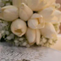 عکاسی و فیلمبرداری انواع مجالس و فضلی باز