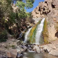 تور و دورهمی مشهدیای باحال|تور و چارتر|مشهد, فتح المبین|دیوار