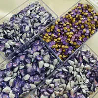 انواع نگین جیکووقمر یاقوت وکله قندی