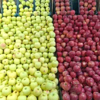 نیرو کار میوه فروشی