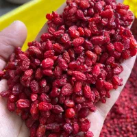 زعفران و زرشک درجه یک مستقیم از کشاورز