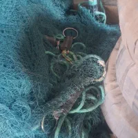 تور پرسان کره ای|ماهیگیری|بندرعباس, |دیوار