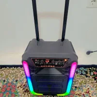 اسپیکر چرخ دار قابل حمل مسافرتی