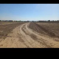 زمین-کارگاهی-حاجی-آباد