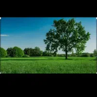 زمین-فروشدر-باغسنگان