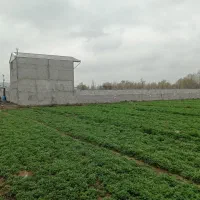 فروش‌قطعات‌ویلایی‌‌باهمسایگان‌ویلاسازی‌شده