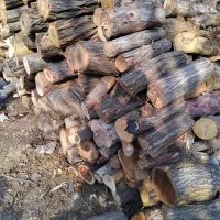 فروش ویژه چوب|عمده‌فروشی|تهران, جوادیه تهرانپارس|دیوار