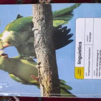 کتاب های دانشگاهی زبان انگلیسی عمومی ایتالیایی|کتاب و مجله آموزشی|شیراز, شهرک صدا و سیما|دیوار