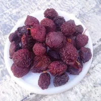 الو خشک تازه مال امسال حدود بیست  کیلو تمیز ودرشت