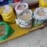 عنبربو شیروان چرداول