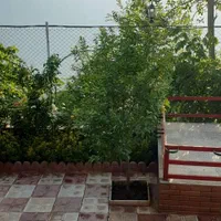 اجاره ویلای در روستای نرسو|اجارهٔ کوتاه‌مدت ویلا و باغ|فاضل آباد, |دیوار