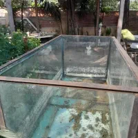 فروش آکواریوم|ماهی|چالوس, |دیوار