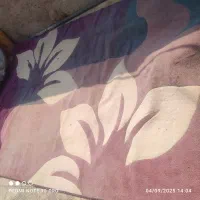 گلیم 12متری