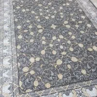 کیفیت فرش عالی، قیمت باورنکردنی گرشاسب روازدست نده
