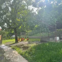 کلبه سویسی جاده ییلاقات|اجارهٔ کوتاهمدت ویلا و باغ|ماسال, |دیوار