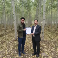 نــهال صـنوبــر ریشه‌پرور با رشد تضمینی فرصت محدود