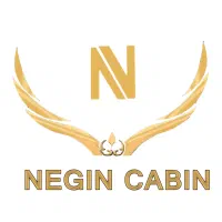 نیازمند نیروی آقا