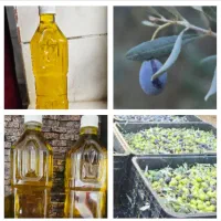 روغن زیتون خالص