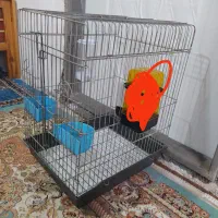 قفس پرنده فروشی قیمت. 500|لوازم جانبی حیوانات|بهشهر, |دیوار