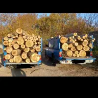 خرید چوب نقدی