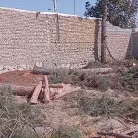 هرس وخرید انواع درخت و چوب|خدمات باغبانی و درختکاری|گلبهار, شهر جدید گلبهار|دیوار