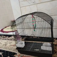 قفسه پرنده