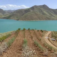 فروش باغ ۵۰۰۰ متری سد