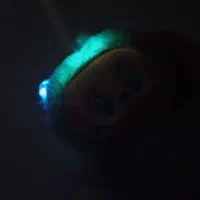 لبوبو موزیکال|اسباب‌‌بازی|گتوند, |دیوار