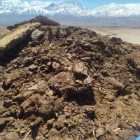 کود دامی پوسیده