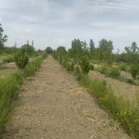 اجاره باغچه