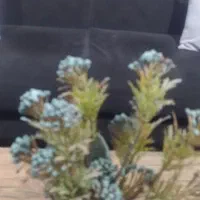 گل و گلدان رومیزی|گل مصنوعی|بندر امام خمینی, |دیوار