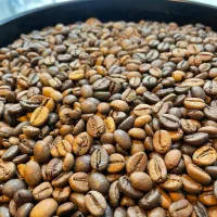 فروش قهوه به صورت عمده و پودر فرنی فله ای