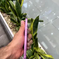اپل ۱۶ نرمال صورتی از دم قسط ۱۸ ماه|موبایل|اصفهان, مفتح|دیوار