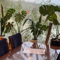 استخدام باریستا