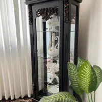 بوفه ویترینی