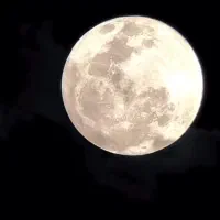 زمین به قیمت پشت قواره