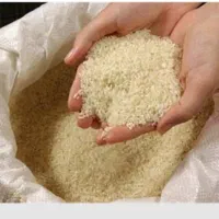 برنج محلی یکدست