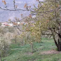 زمین متراژ دلخواه داخل بافت|فروش زمین و ملک کلنگی|گزنک, |دیوار