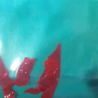 پلاستیک گل خانه