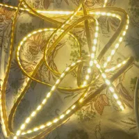 ال ای دی ریسه ای یا همون شلنگی