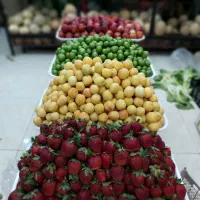 استخدام کارگر ساده میوه فروشی