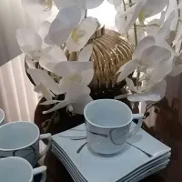 یک دست فنجون توس چینی کاملانو