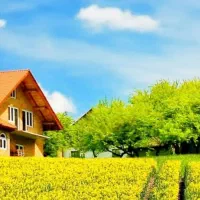 اجاره منزل در توس۸۵
