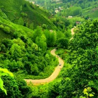 11هزارمترزمین-جنگلی-بامجوزمجتمع-گردشگری-سندتک-برگ