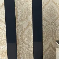 سیستم صوتی وباند